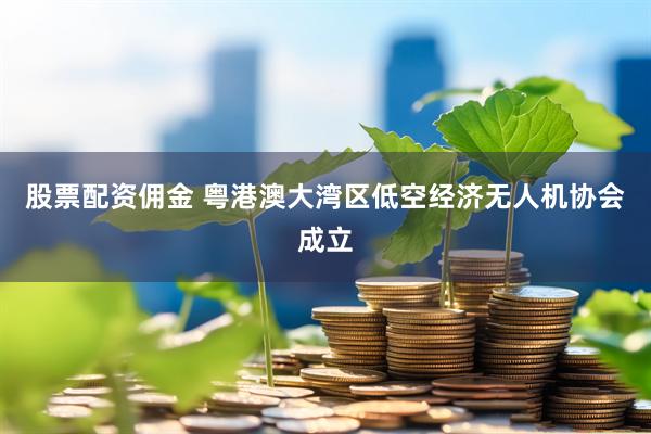 股票配资佣金 粤港澳大湾区低空经济无人机协会成立