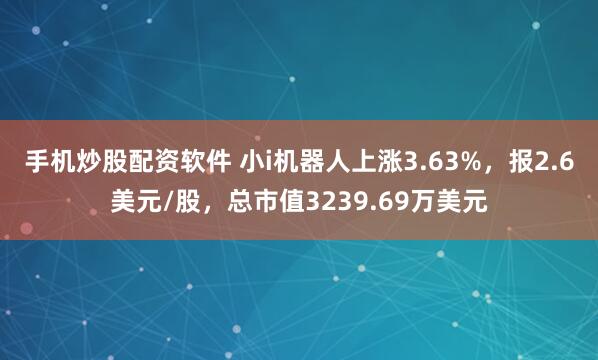 手机炒股配资软件 小i机器人上涨3.63%，报2.6美元/股，总市值3239.69万美元
