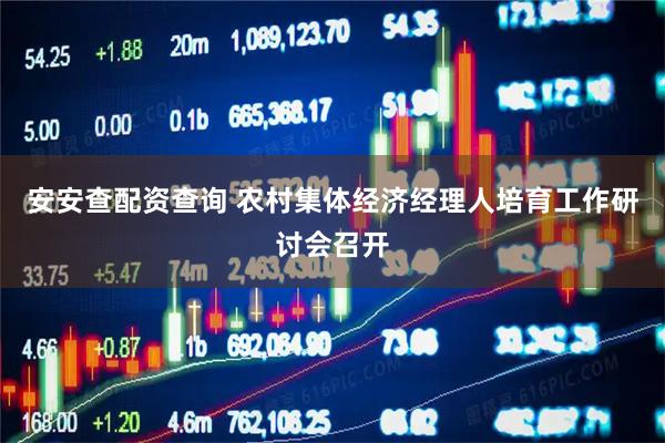 安安查配资查询 农村集体经济经理人培育工作研讨会召开